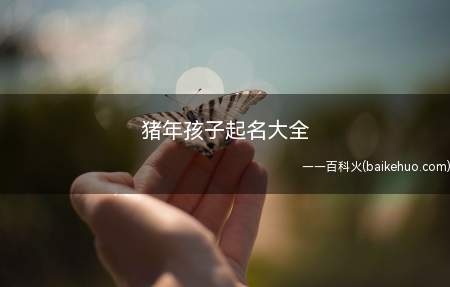 猪年孩子起名大全(如何给猪年的孩子起个美好的名字)