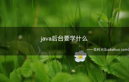 java后台要学什么(如何学习javase)