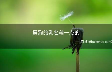 属狗的乳名萌一点的(狗年出生的宝宝有哪些适合的、萌一点的乳名)