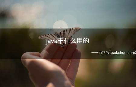 java干什么用的(java干什么用的让我们一起了解一下!)