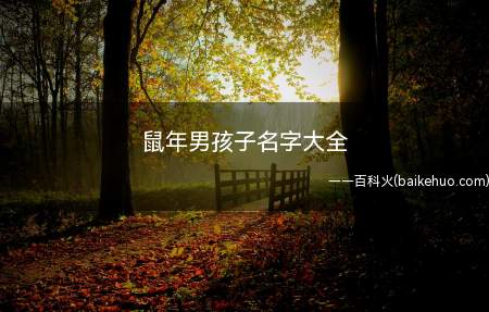 鼠年男孩子名字大全(鼠年男孩子名字大全有什么)