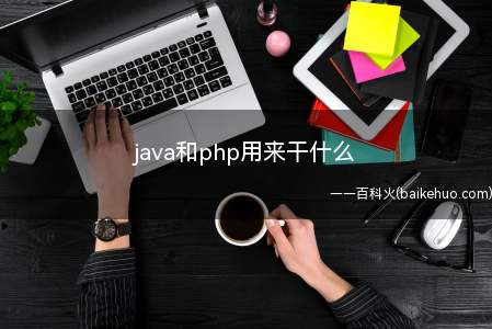 java和php用来干什么