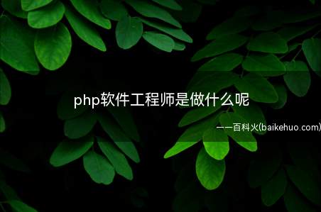 php软件工程师是做什么呢(php软件工程师是做什么)