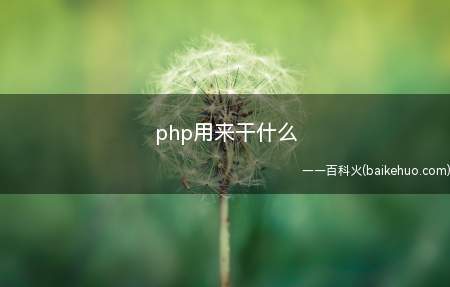 php用来干什么(php用来干什么的)
