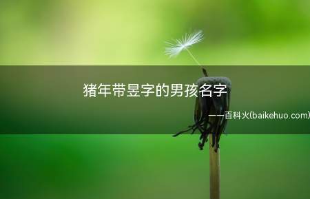 猪年带昱字的男孩名字(猪年带昱字的男孩名字大全)