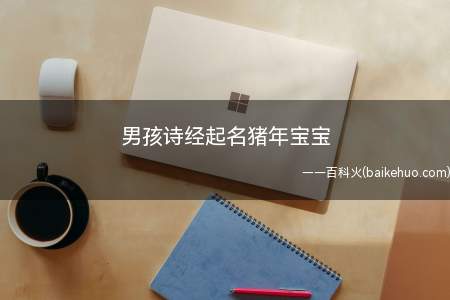 男孩诗经起名猪年宝宝（诗经中适合猪年宝宝的男孩名字）