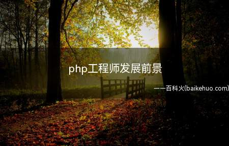 php工程师发展前景(php工程师前景怎样)