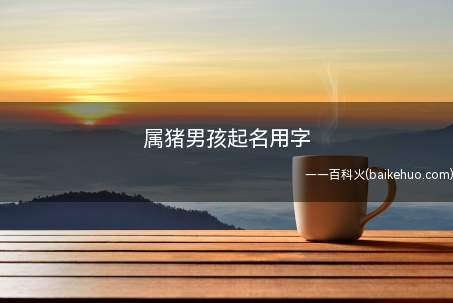 属猪男孩起名用字(属猪男孩起名用字有什么)