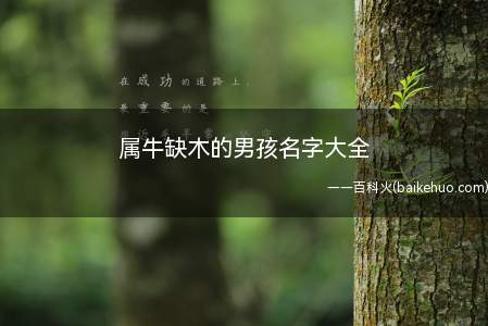 属牛缺木的男孩名字大全