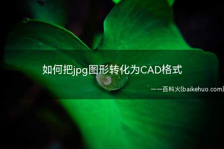 如何把jpg图形转化为CAD格式(jpg图形转化为CAD格式)