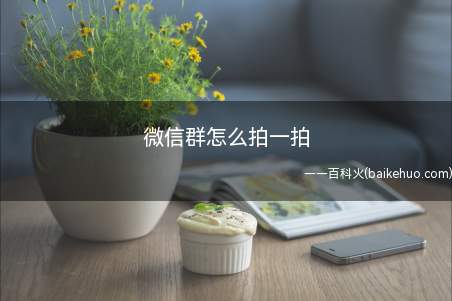 微信群怎么拍一拍(微信群怎么拍一拍iPhone 11系统)