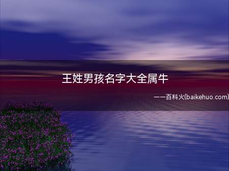 王姓男孩名字大全属牛(王姓男孩属牛起名方法和注意事项)