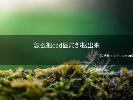 怎么把cad图局部抠出来