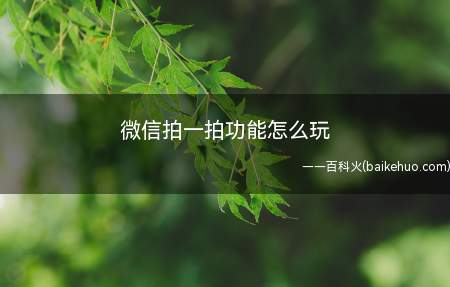 微信拍一拍功能怎么玩(微信拍一拍怎么玩iPhone 11系统)