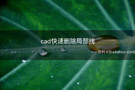 cad快速删除局部线(cad快速删除局部线操作步骤)