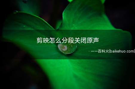 剪映怎么分段关闭原声(剪映分段关闭原声的方法)