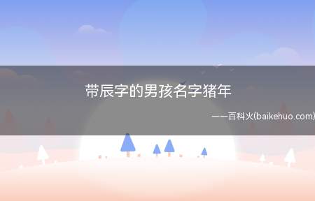 带辰字的男孩名字猪年(带辰字的男孩名字猪年推荐)