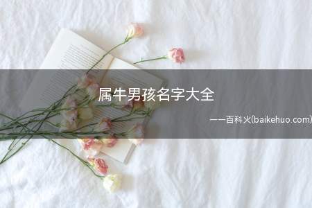 属牛男孩名字大全(属牛的男孩名字有哪些)