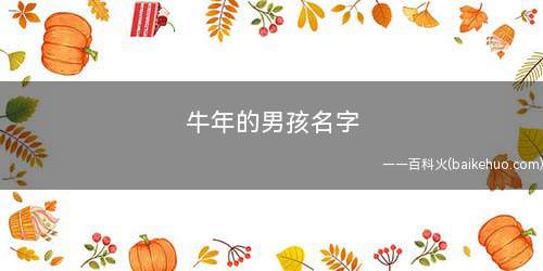 牛年的男孩名字(牛年的男孩名字有哪些)