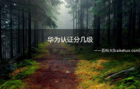 华为认证分几级(华为认证分为几级有哪些方向)