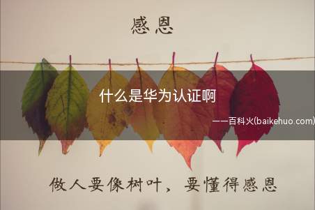 什么是华为认证啊(什么是华为认证华为考试费用是多少)