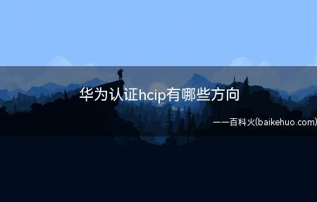 华为认证hcip有哪些方向