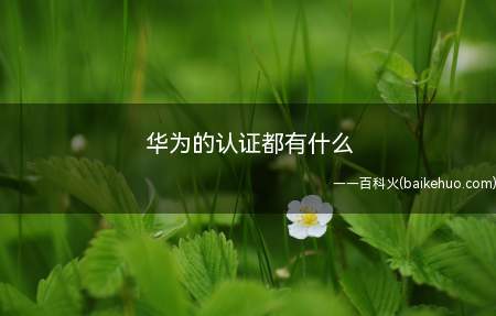 华为的认证都有什么(华为认证的方向有什么)