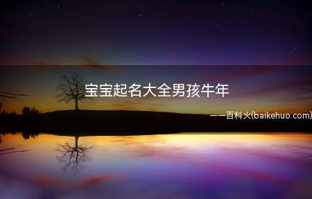 宝宝起名大全男孩牛年(牛年男孩宝宝起名推荐单字)