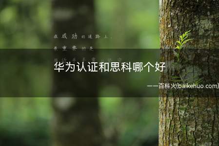 华为认证和思科哪个好(华为和思科认证哪个比较好)