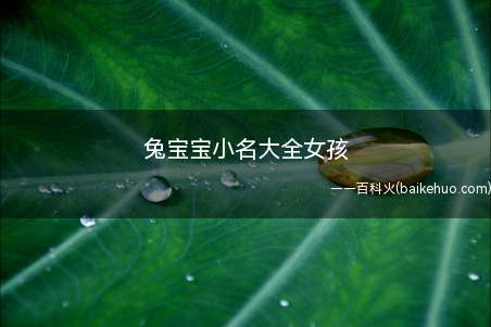 兔宝宝小名大全女孩(适合女兔宝宝的小名有哪些)