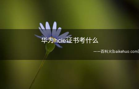 华为hcie证书考什么(华为hcie证书考什么内容)