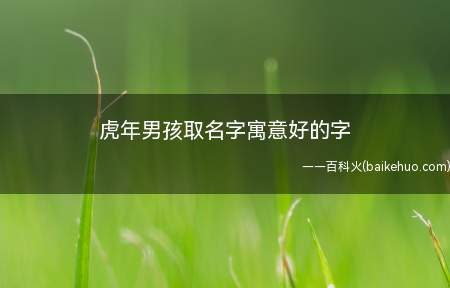 虎年男孩取名字寓意好的字