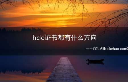hcie证书都有什么方向(hcie证书有什么方向)