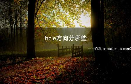 hcie方向分哪些(hcie认证有很多方向)
