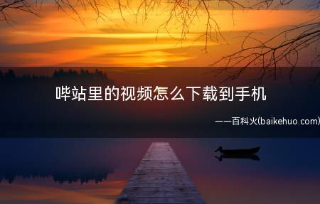 哔站里的视频怎么下载到手机（哔站里的视频怎么下载到手机的方法）