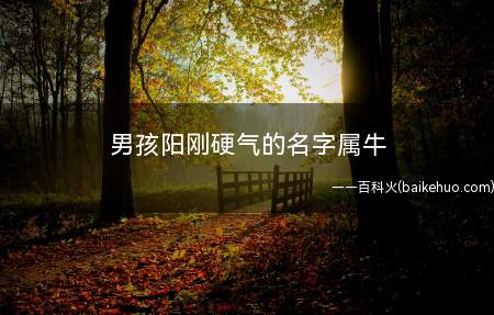 男孩阳刚硬气的名字属牛(属牛男孩阳刚硬气的名字)
