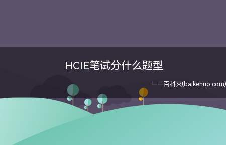 HCIE笔试分什么题型