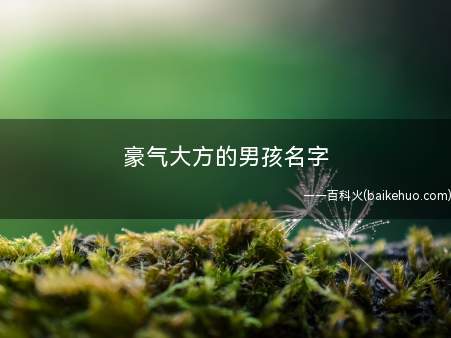 豪气大方的男孩名字(豪气大方的男孩名字有哪些)