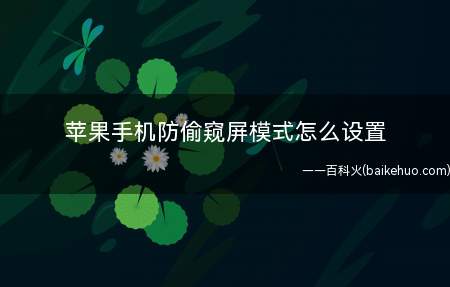 苹果手机防偷窥屏模式怎么设置(iphone防偷窥的设置操作步骤)