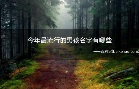 今年最流行的男孩名字有哪些