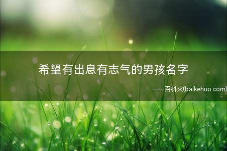 希望有出息有志气的男孩名字