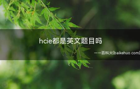 hcie都是英文题目吗