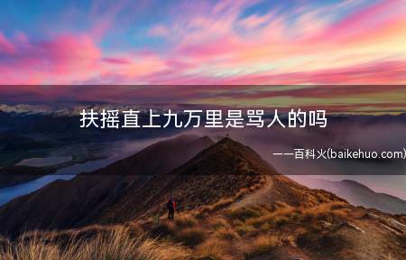 扶摇直上九万里是骂人的吗