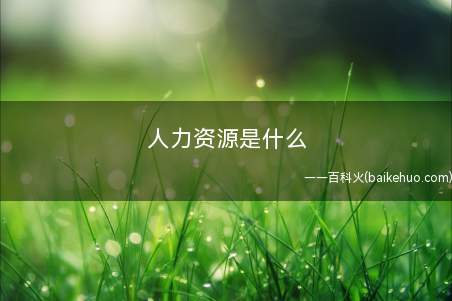 人力资源是什么(人力资源是什么我们一起来看看吧!)