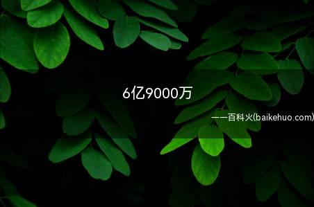6亿9000万是什么梗(6亿9000万什么梗我们一起了解一下吧!)