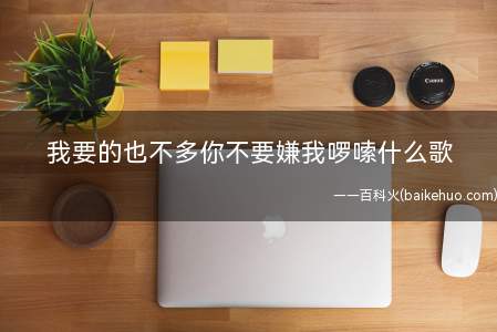 我要的也不多你不要嫌我啰嗦什么歌