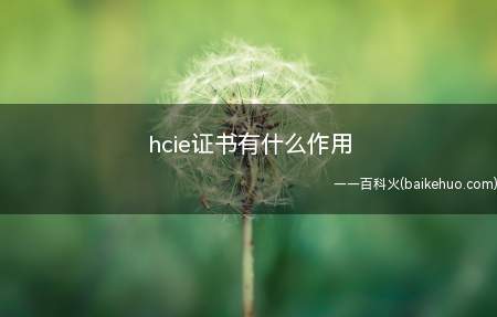 hcie证书有什么作用(hcie认证书有什么作用)