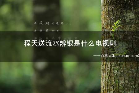 程天送流水辨银是什么电视剧