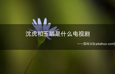 沈虎和玉融是什么电视剧