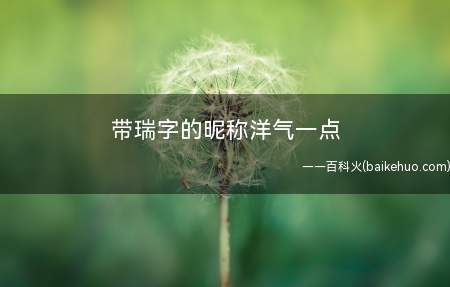 带瑞字的昵称洋气一点(带瑞字的昵称洋气一点有哪些)